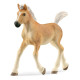 Schleich ŹREBAK RASY HAFLINGER SLH13951