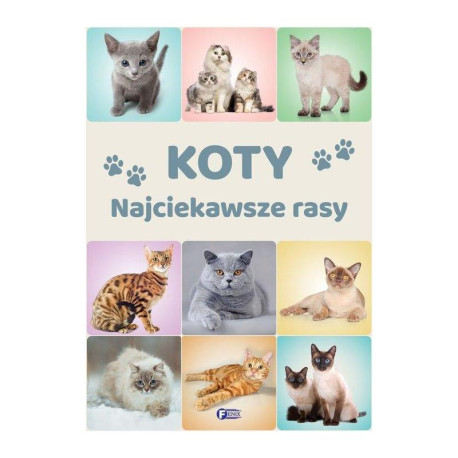 KOTY NAJCIEKAWSZE RASY