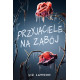 PRZYJACIELE NA ZABÓJ Liz Lawson