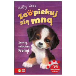 ZAOPIEKUJ SIĘ MNĄ SAMOTNY NIEKOCHANY PROMYK Holly Webb 7+