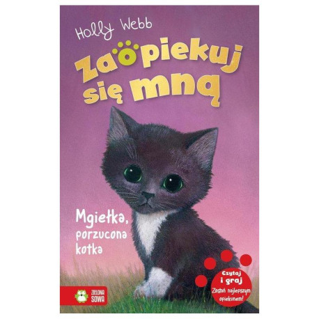 ZAOPIEKUJ SIĘ MNĄ MGIEŁKA PORZUCONA KOTKA Holly Webb